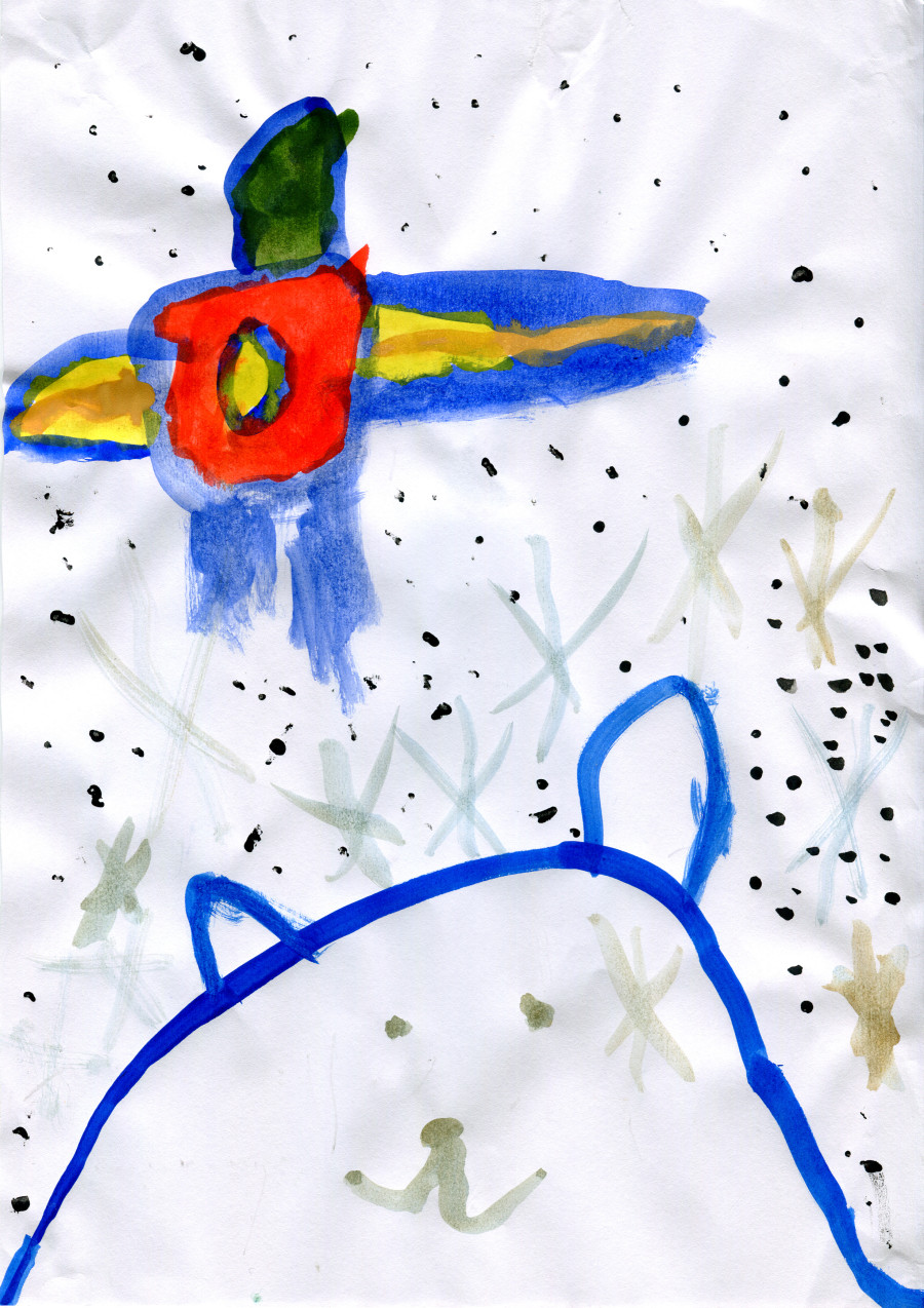 'Finding Polar Bears' by Aisling (6) from Cork