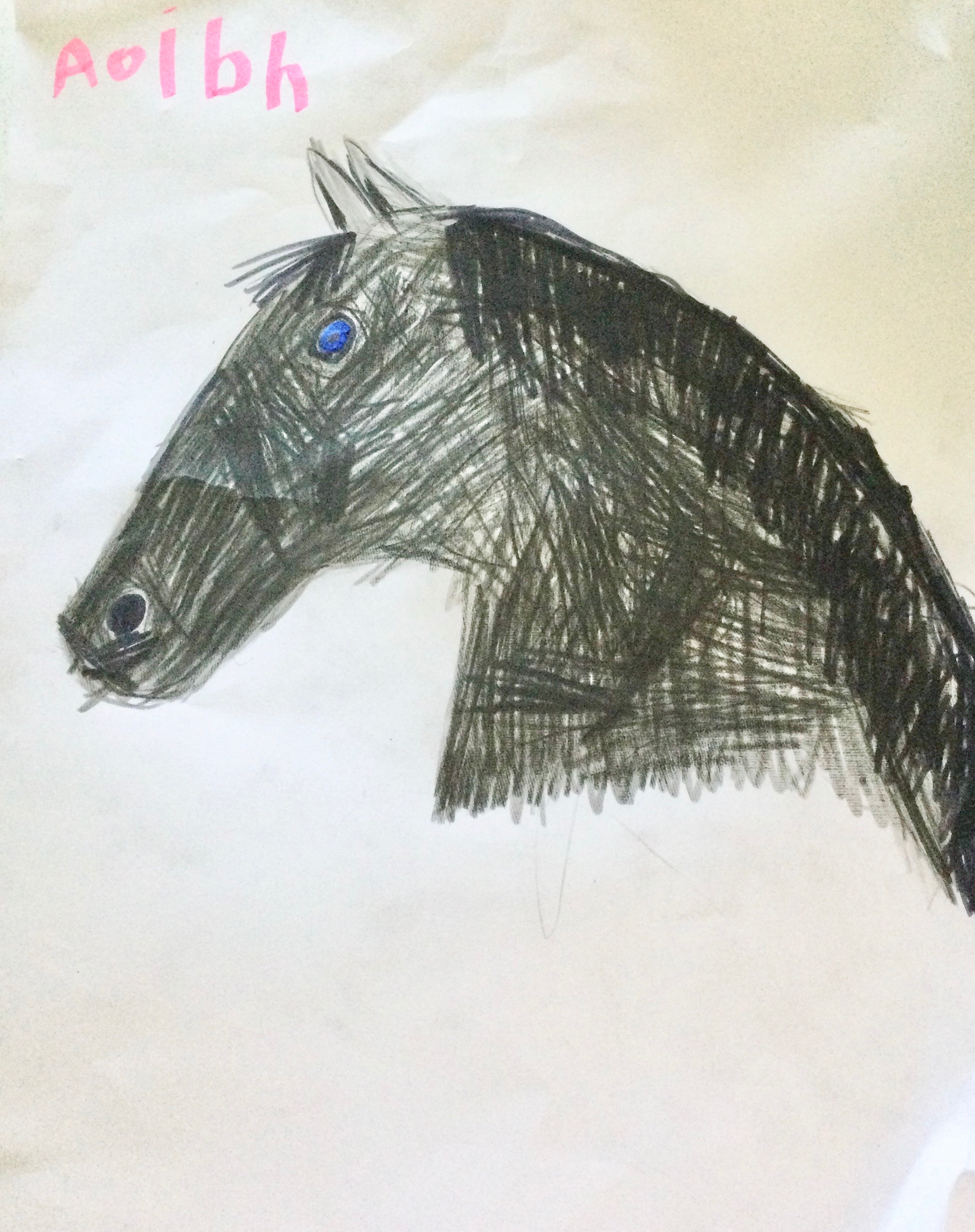 'My beautiful horse' by Aoibh (5) from Offaly