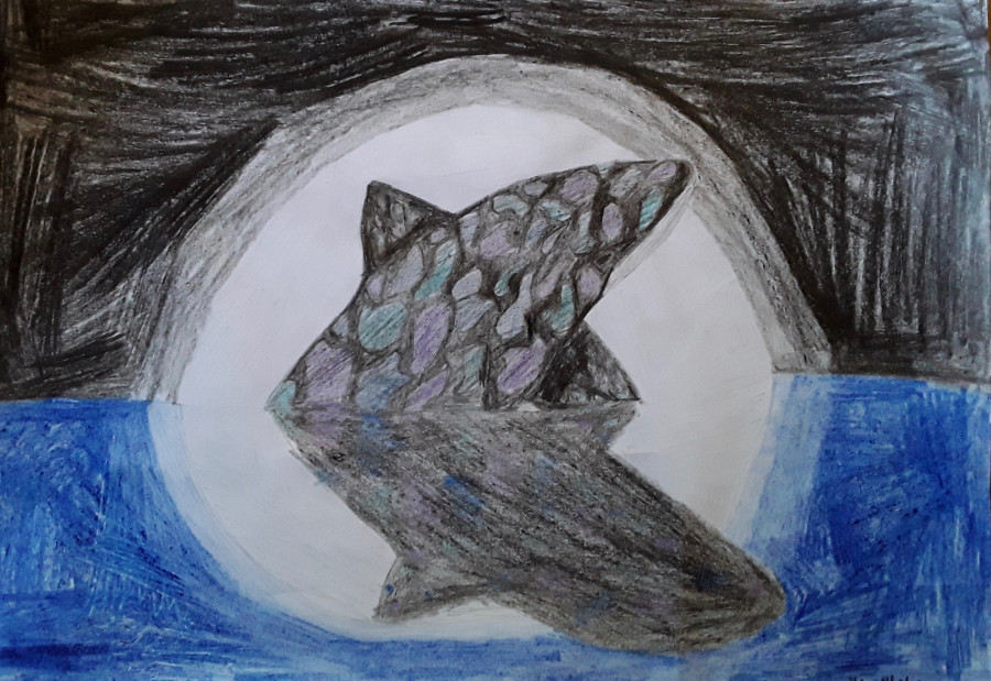 'The Whale' by Aoibheann (12) from Kerry