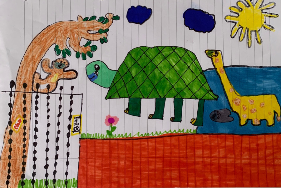 'Lockdown for the Zoo' by Ava (7) from Leitrim