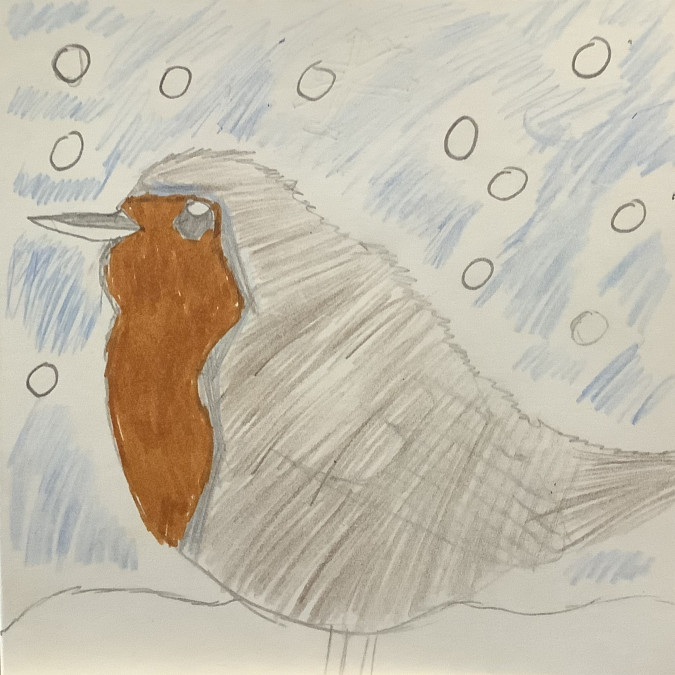 'Snow winter robin' by Bobby (10) from Dublin