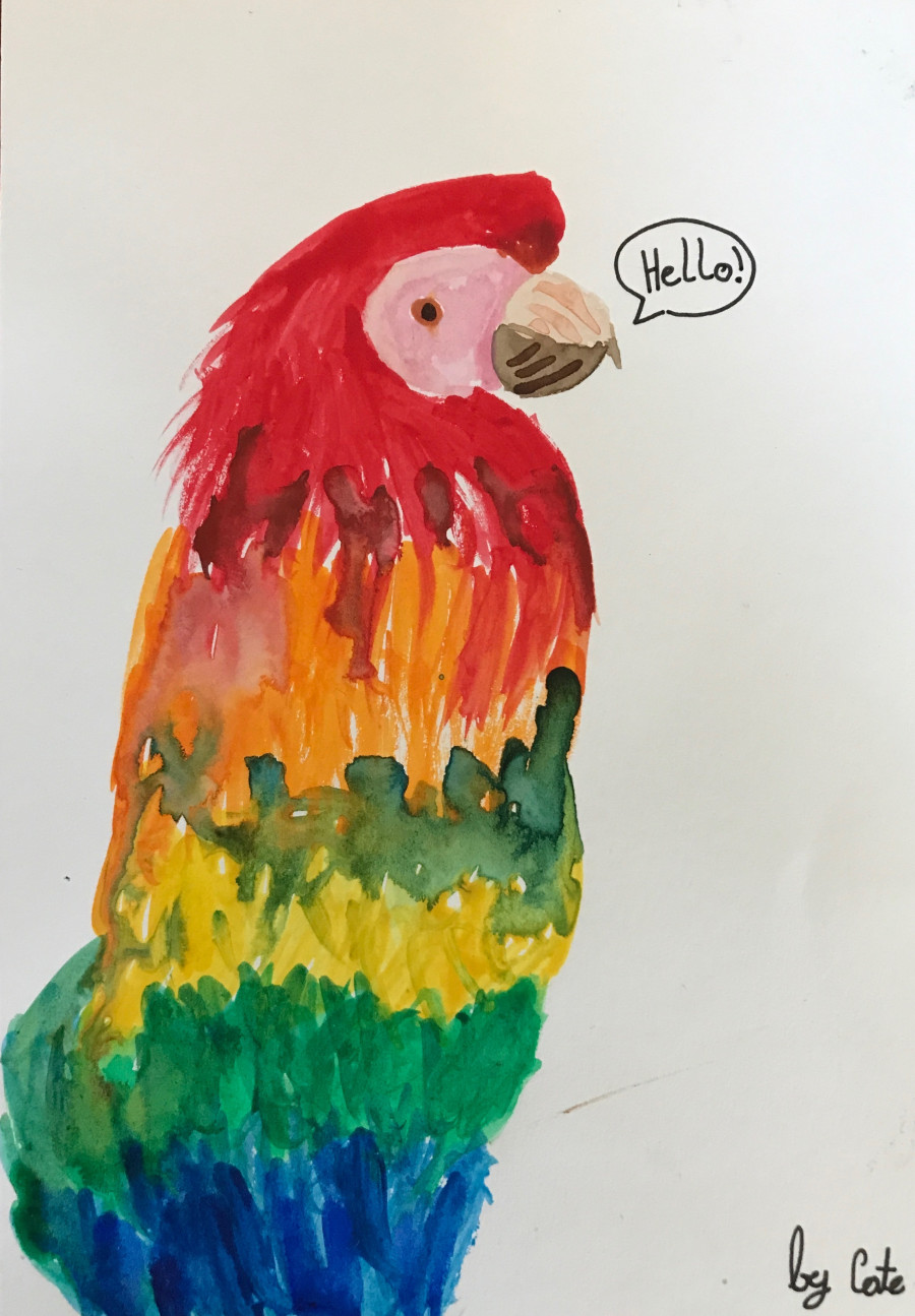 'The colourful parrot painting' by Cate (11) from Dublin