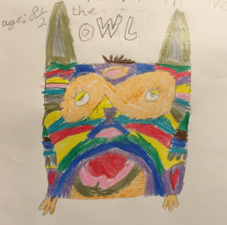 'The Owl' by Conor (8) from Clare