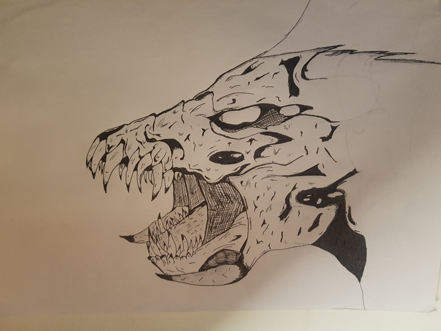 'Hell hound' by Conor (14) from Wicklow