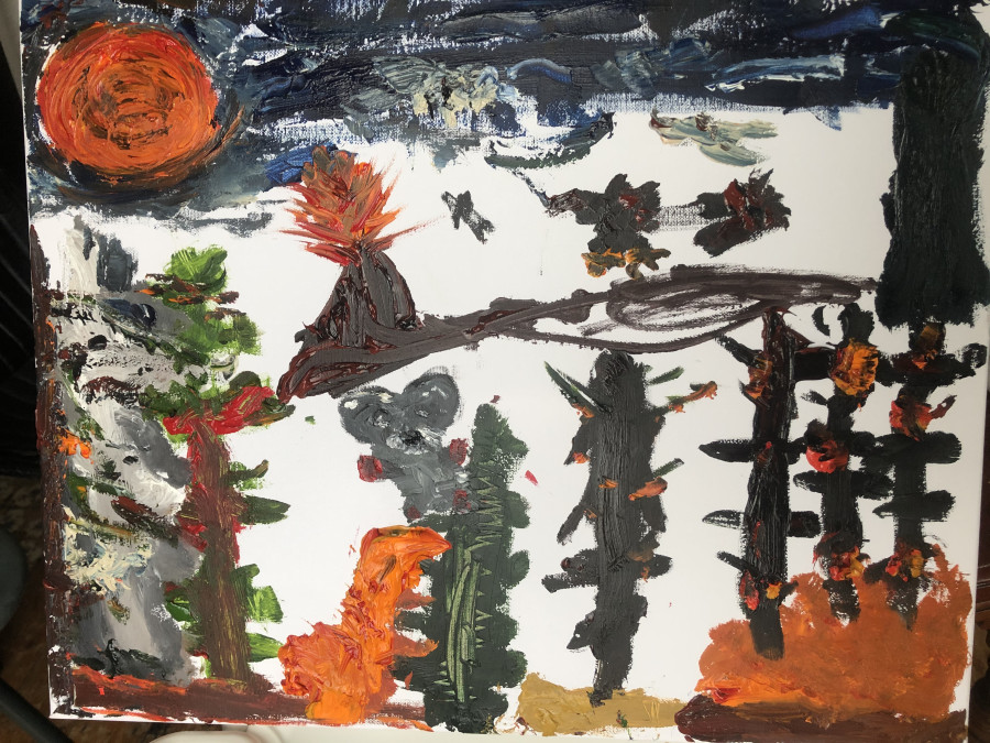 'Forest fire Volcano' by Daniel Peter (5) from Down