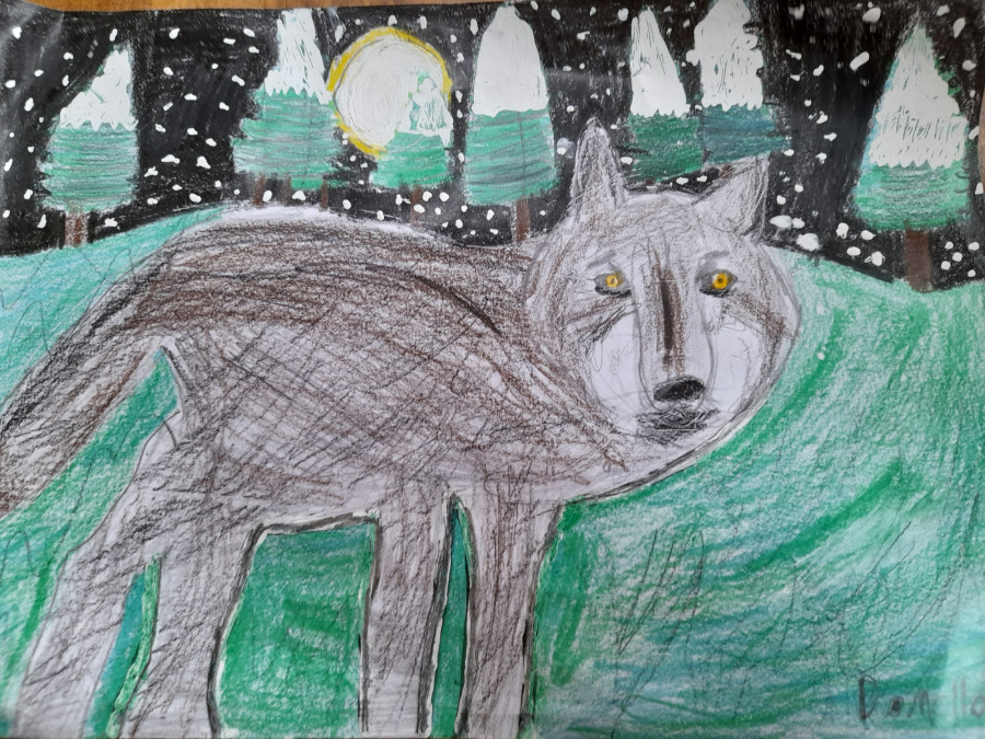 'The Wolf' by Domhnall (11) from Offaly