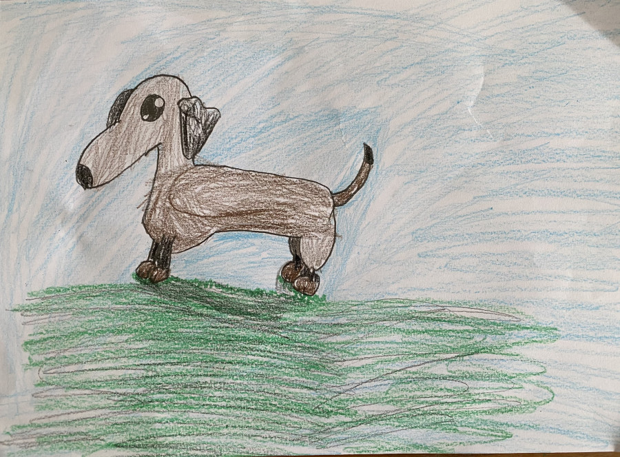 'Beware of the hound!' by Eavan (9) from Meath