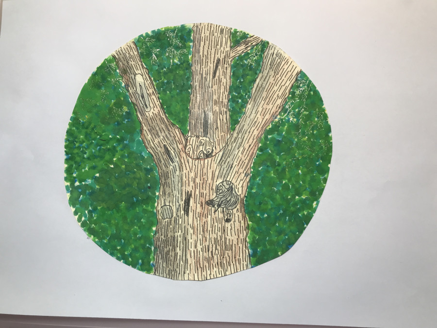 'The Tree of Hope' by Emily (11) from Dublin