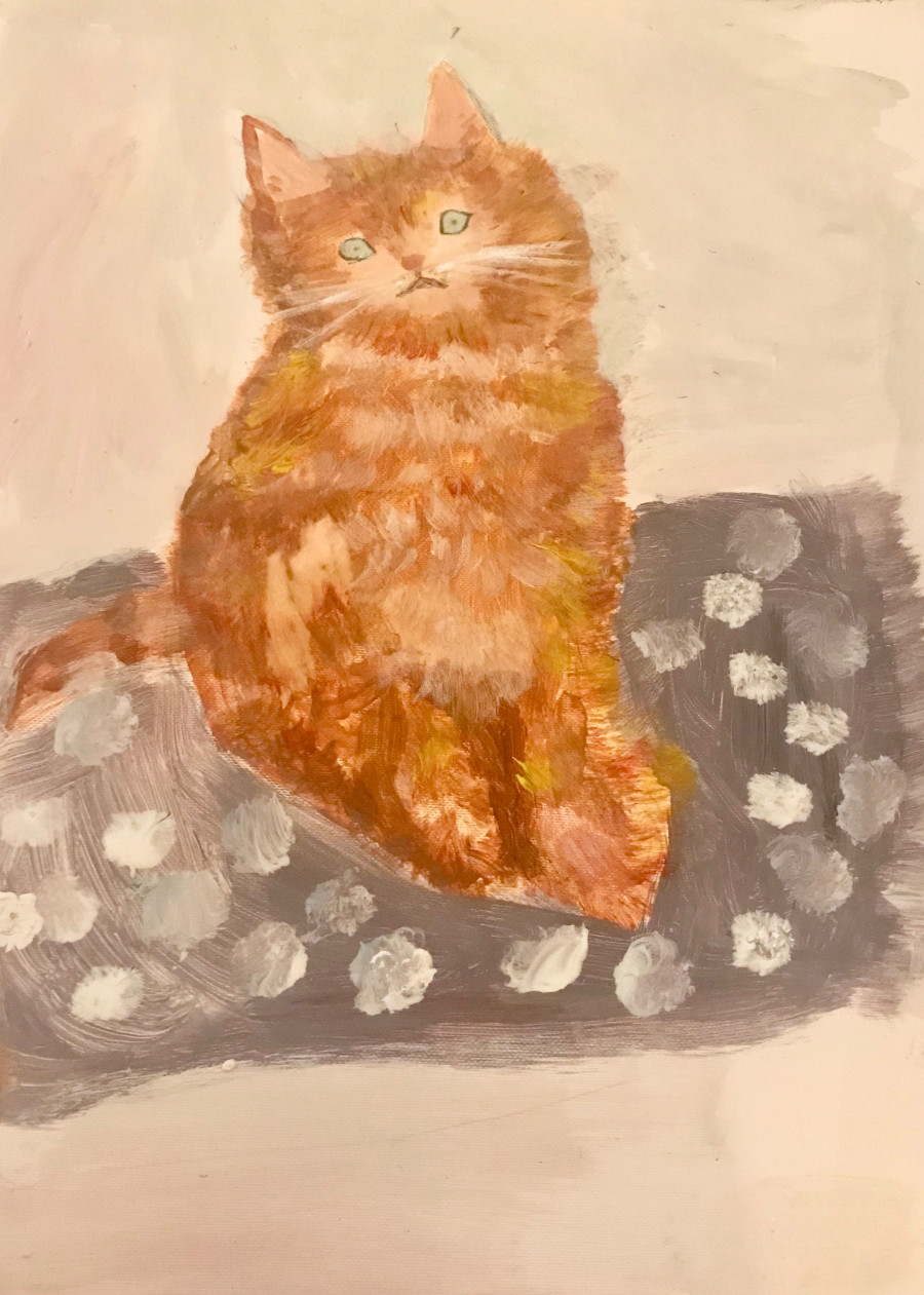 'Orange Tabby' by Erin (5) from Cork