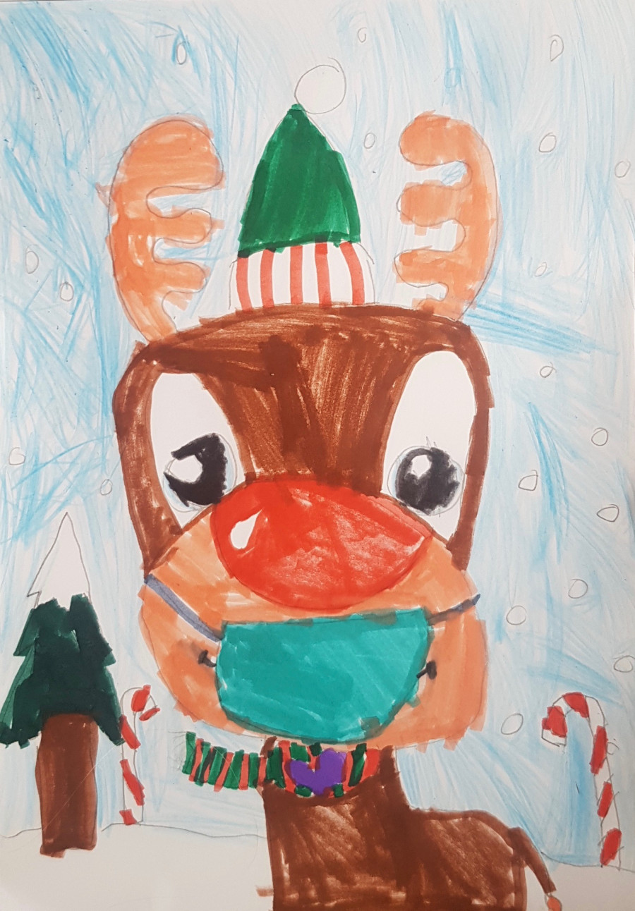 'stay safe Rudolf' by Erin (7) from Kilkenny