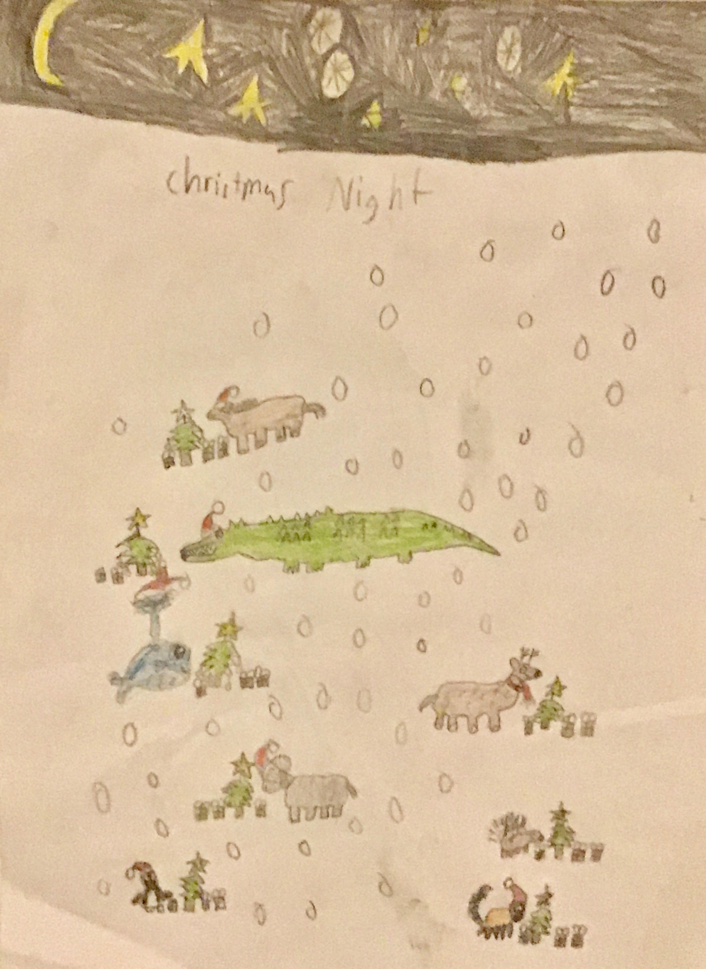 'Christmas night' by Ethan (8) from Dublin