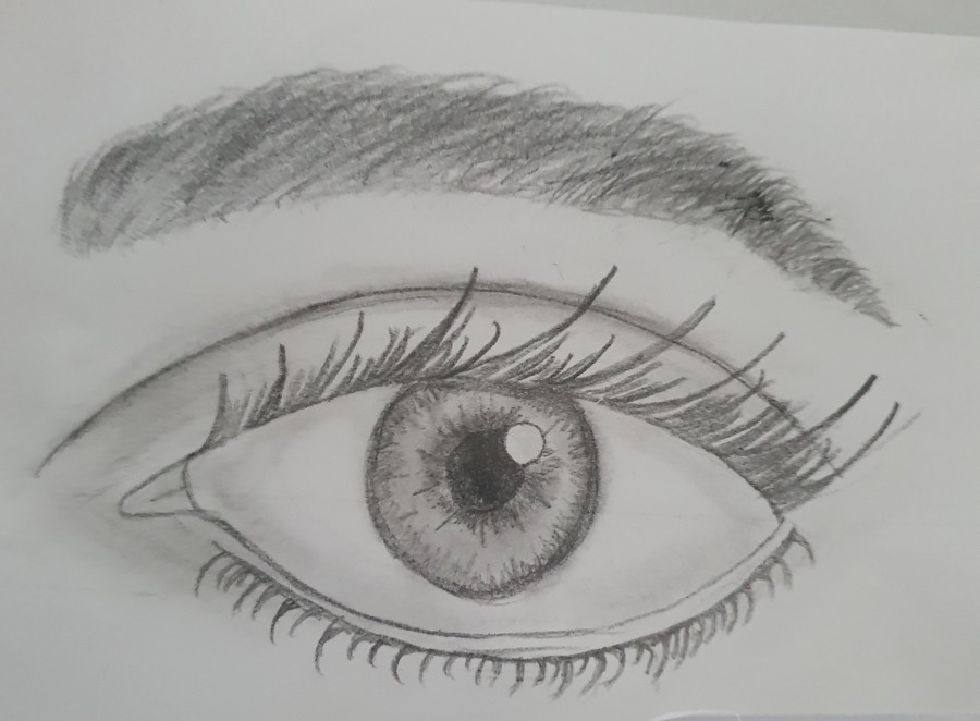 'The Real Eye' by Faliha (10) from Meath