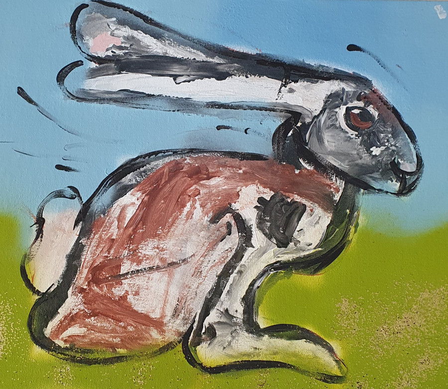 'Running bunny!' by Fionn (6) from Clare