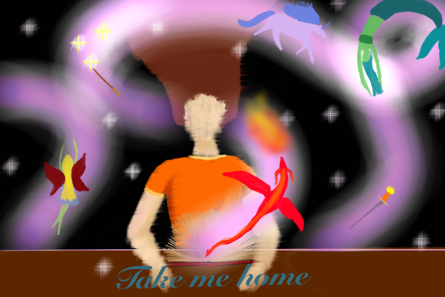'Take me home' by Grace (14) from Galway