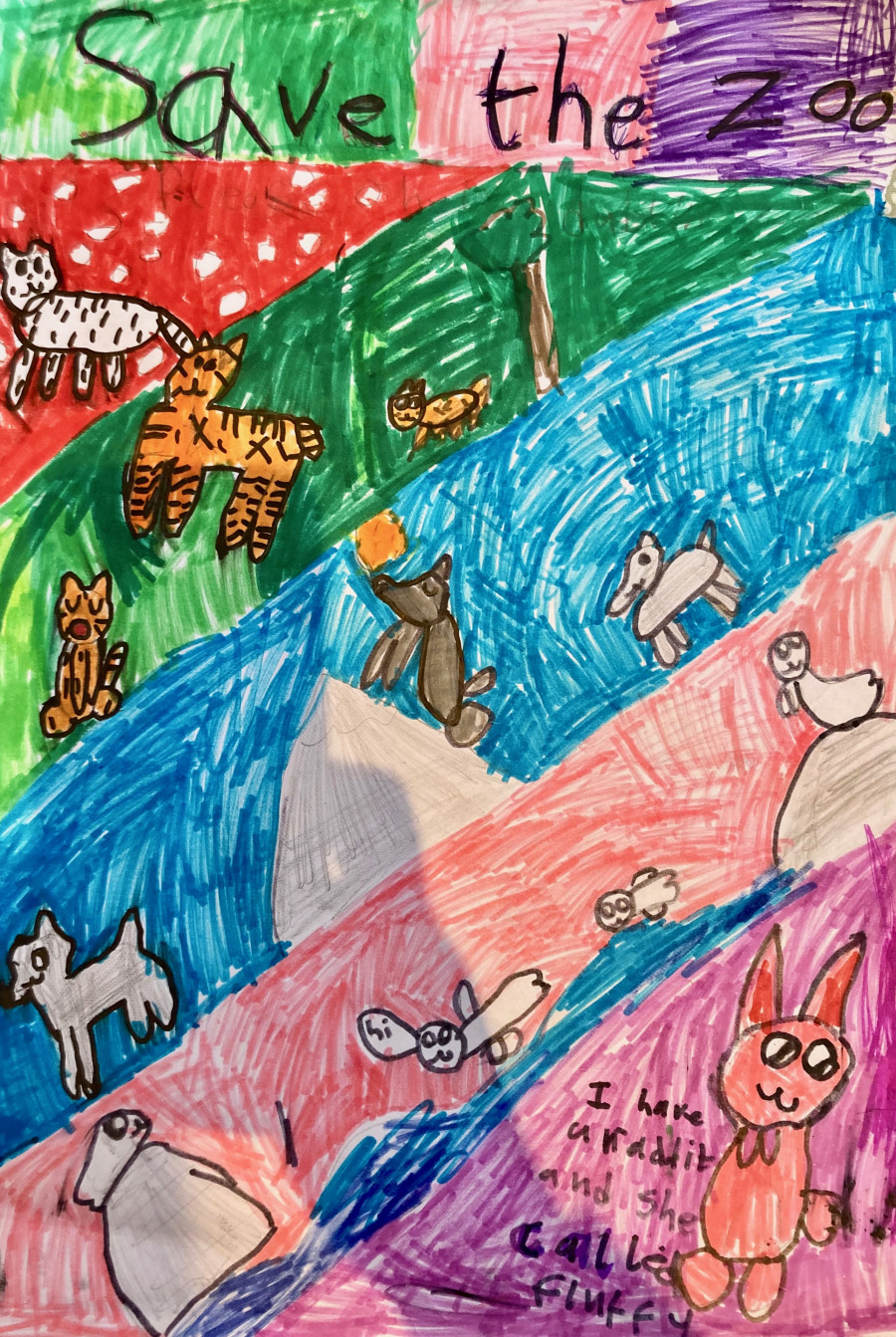 'Help save the zoo' by Grace (9) from Kildare