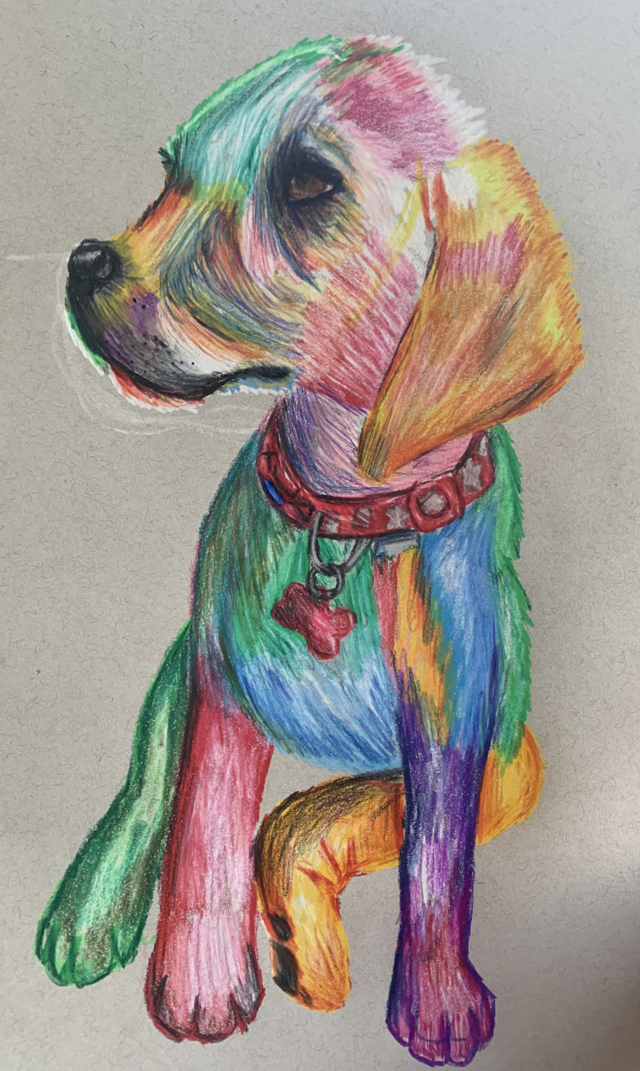 'Rainbow pup' by Hayley (12) from Clare