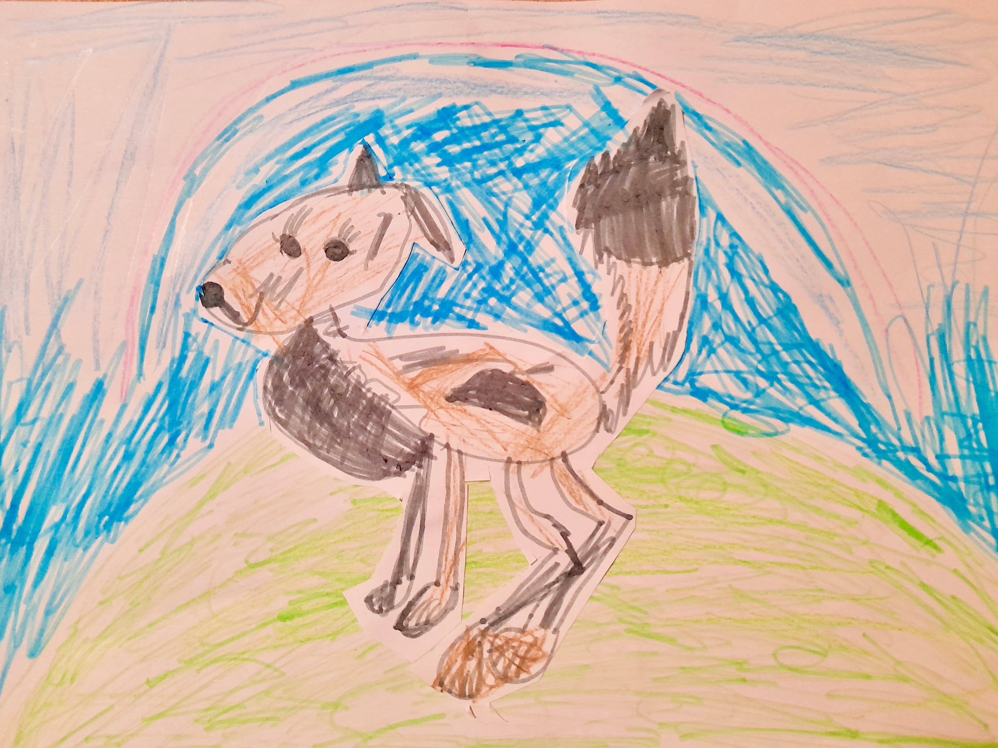 'My Dog Clover' by Holly-James (6) from Offaly