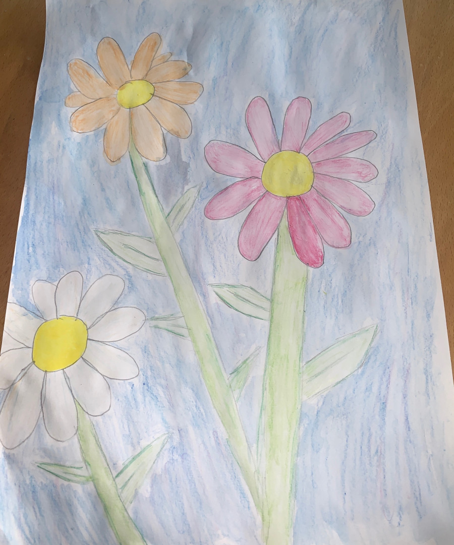 'Flowers' by Isabella (13) from Offaly