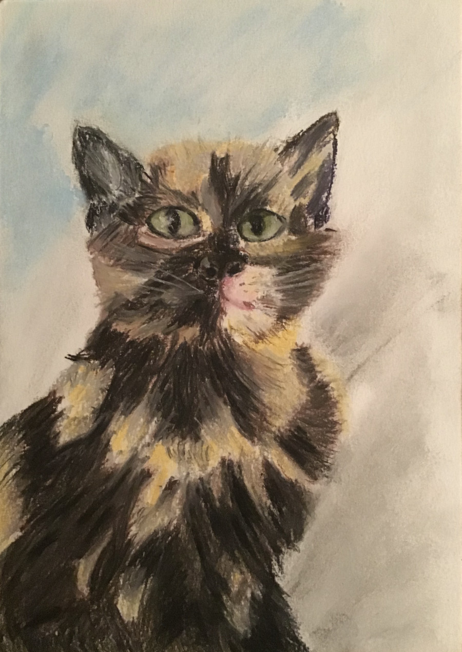 'My Cat Cosmo' by Isabella (9) from Tipperary
