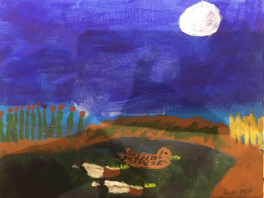 'Mallards by moonlight' by Jack (10) from Offaly