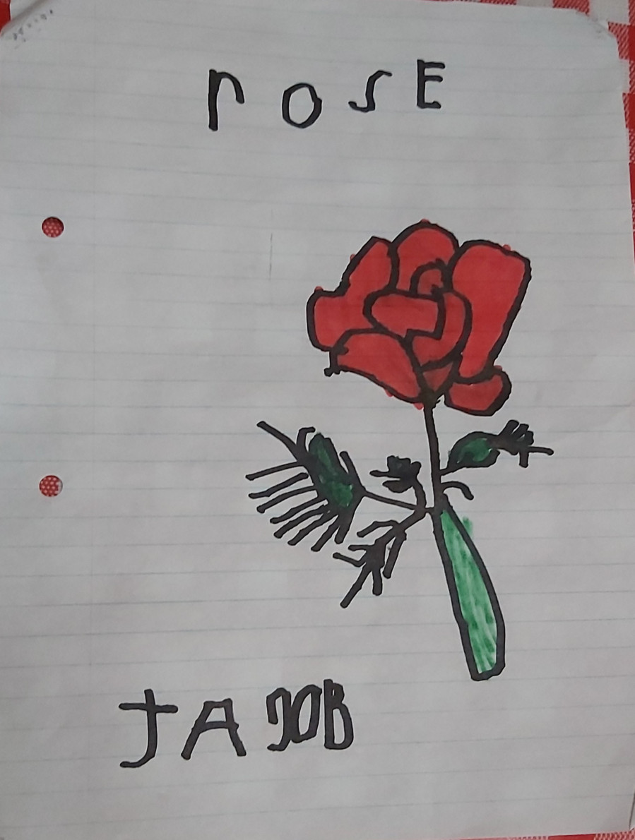 'Rose' by Jacob (5) from Roscommon
