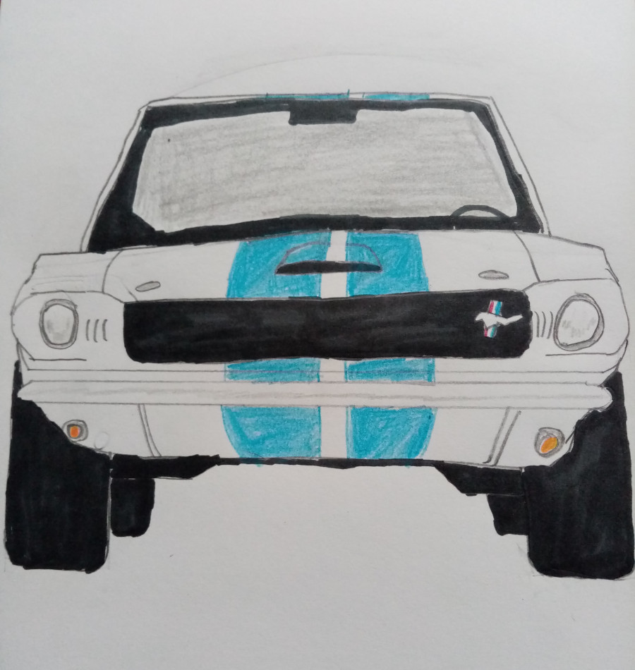 '65 mustang GT350' by James (13) from Dublin