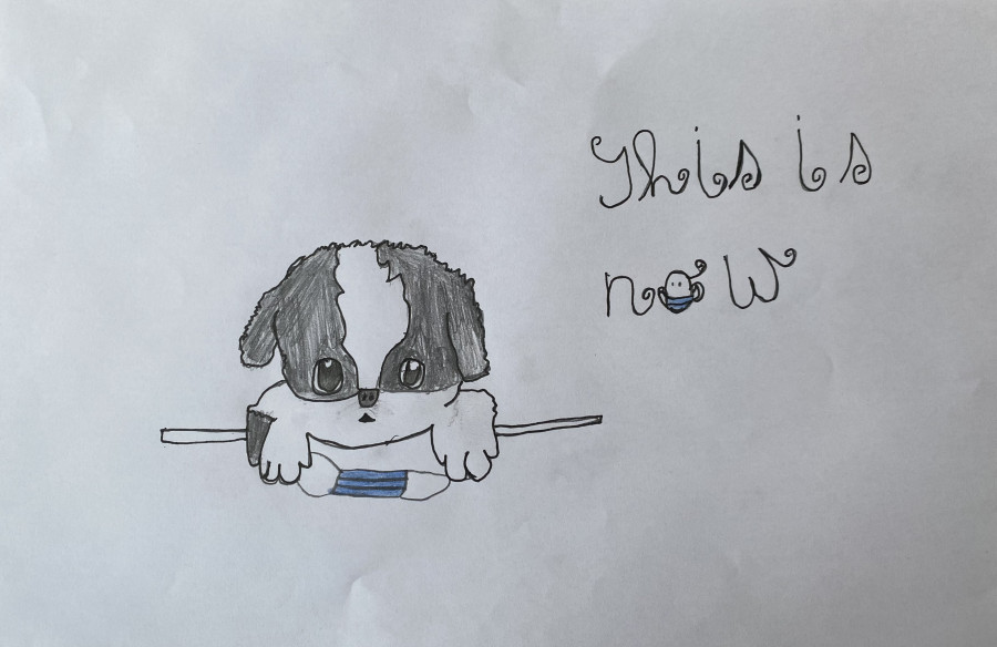 'My Dogs Mask' by Jamie (11) from Dublin