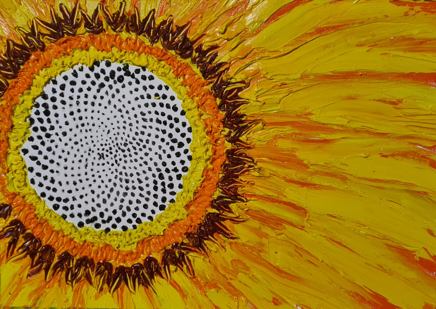 'Fibonacci in Nature' by Johan Felix (9) from Offaly