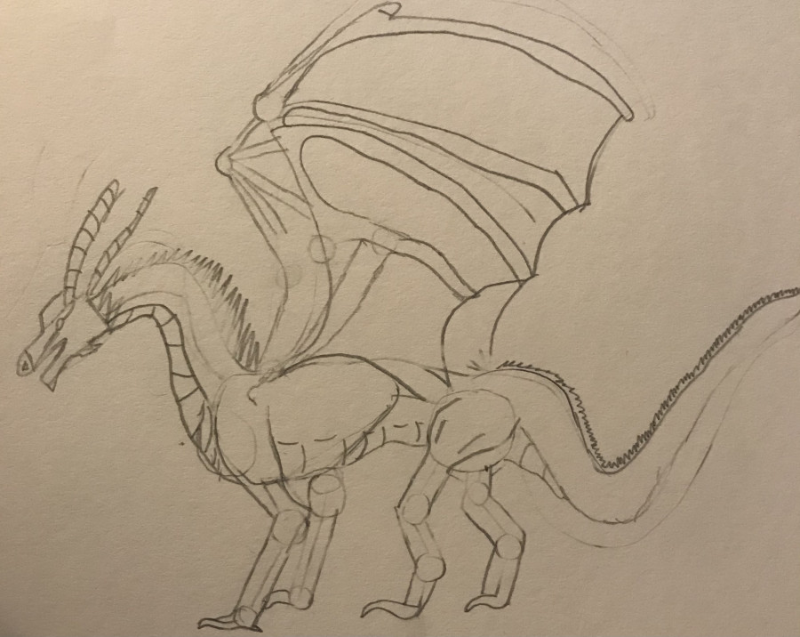 'Dragon' by kye (13) from Dublin