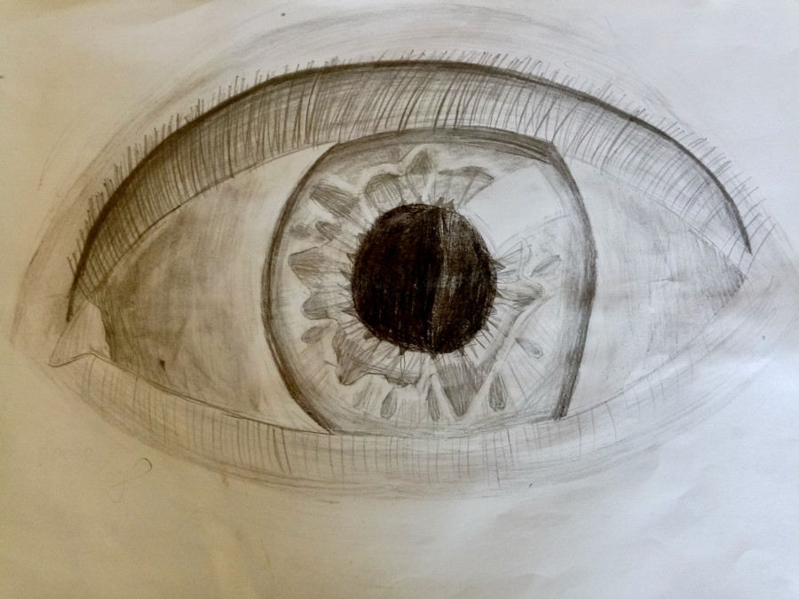 'An Eye to The Year Ahead' by Laoise (12) from Galway