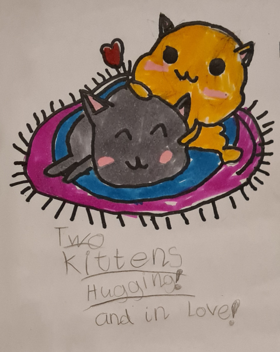 'Two kittens hugging after covid 19' by Lauren (7) from Roscommon