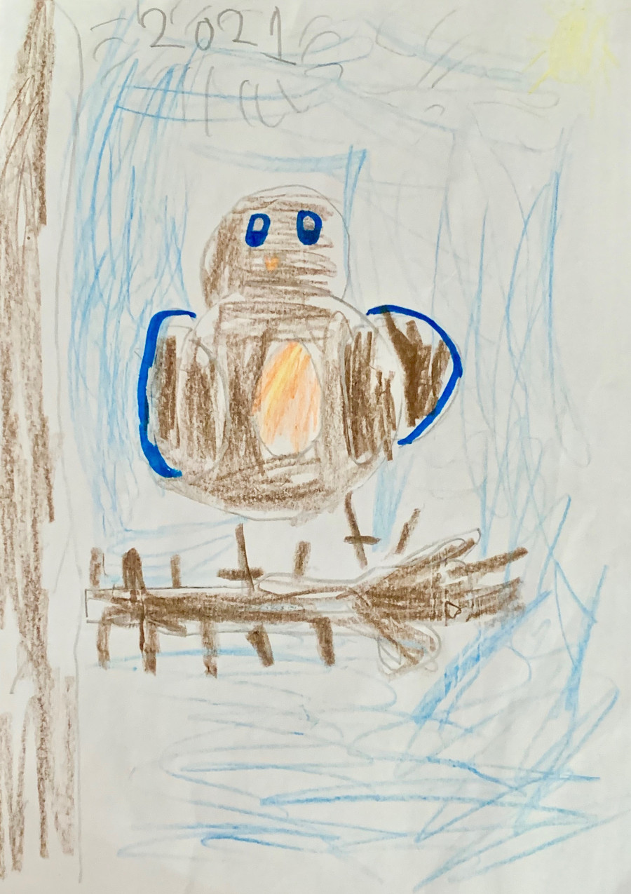 'The little robin' by Leila (7) from Kildare