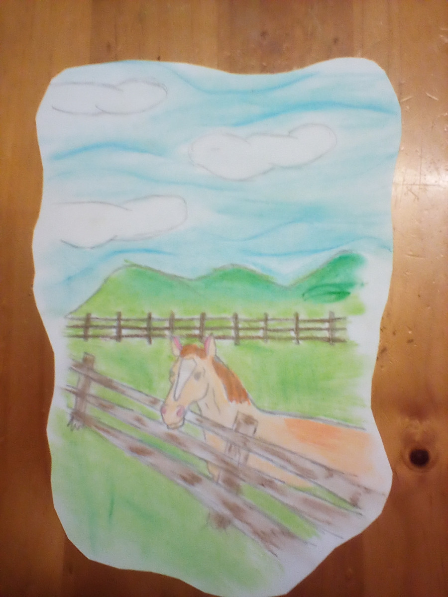 'Alive with nature' by Lily (11) from Tipperary