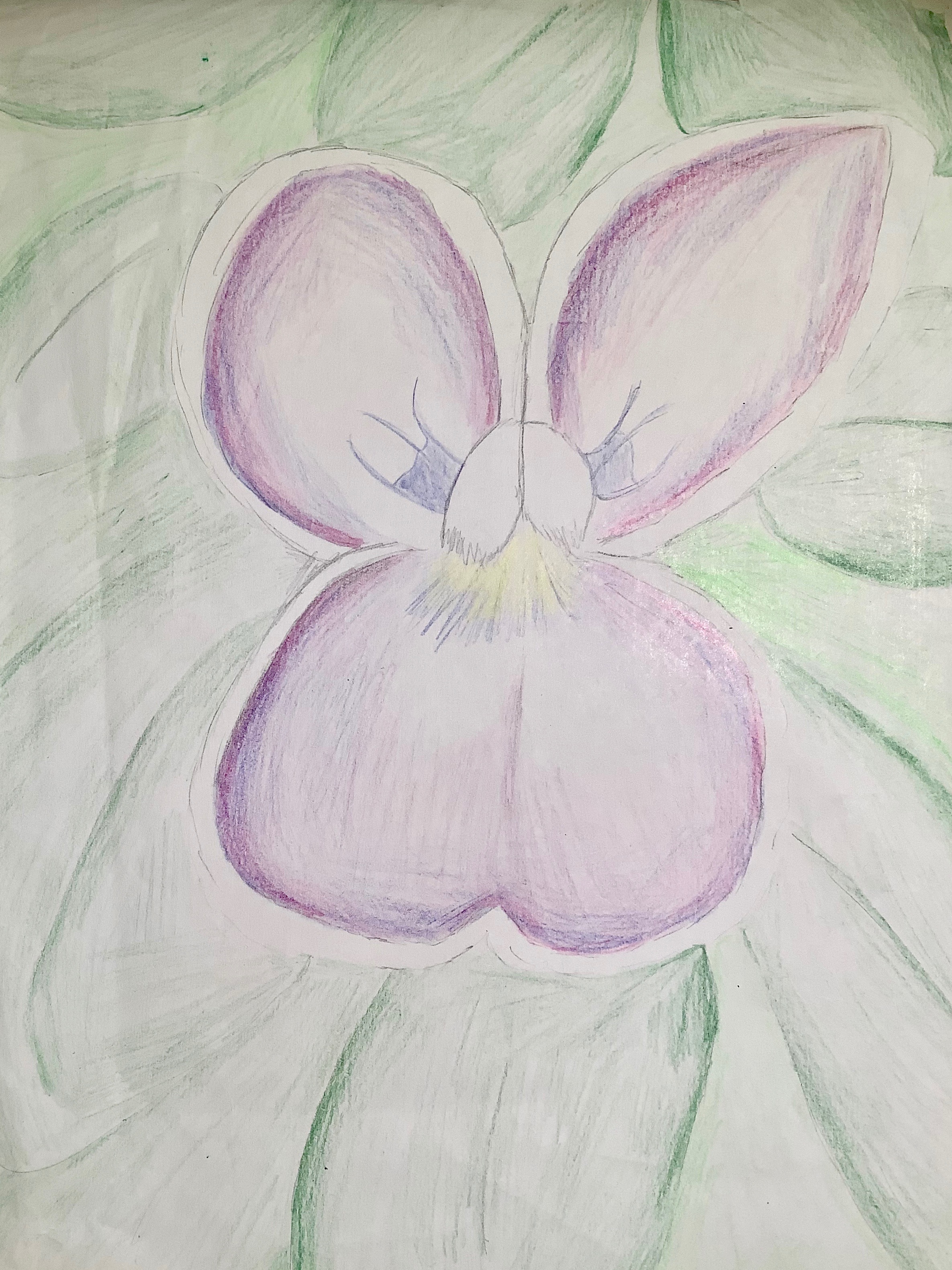 'Purple Flower Garden' by Lucy (13) from Offaly