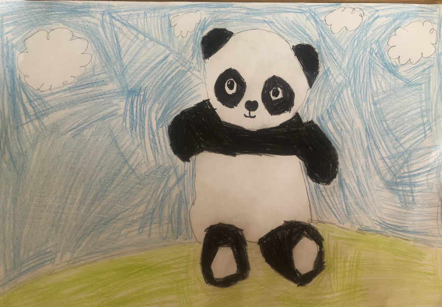 'My Cute Panda' by Lucy (9) from Kildare