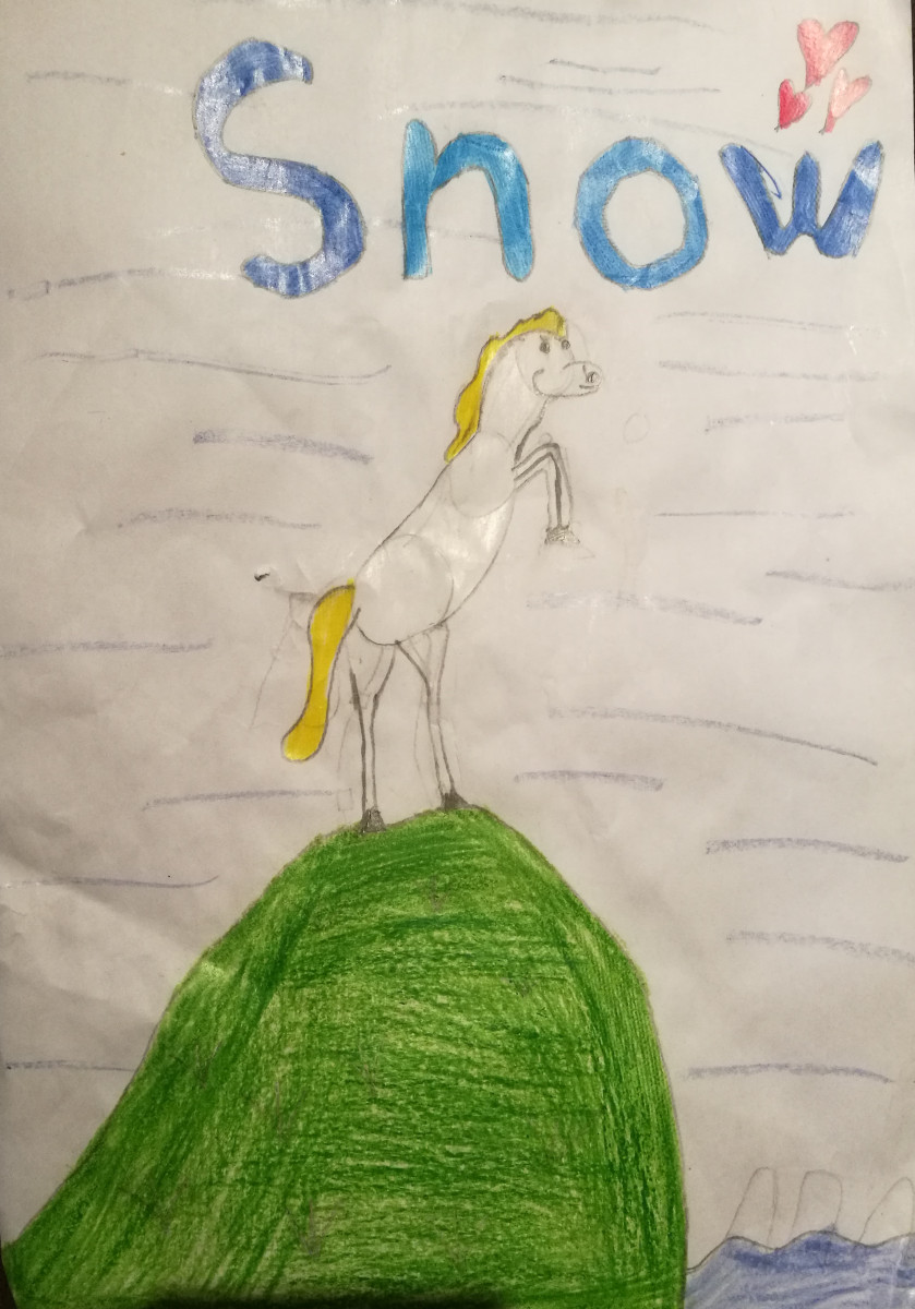 'Snow' by Mary (9) from Tipperary