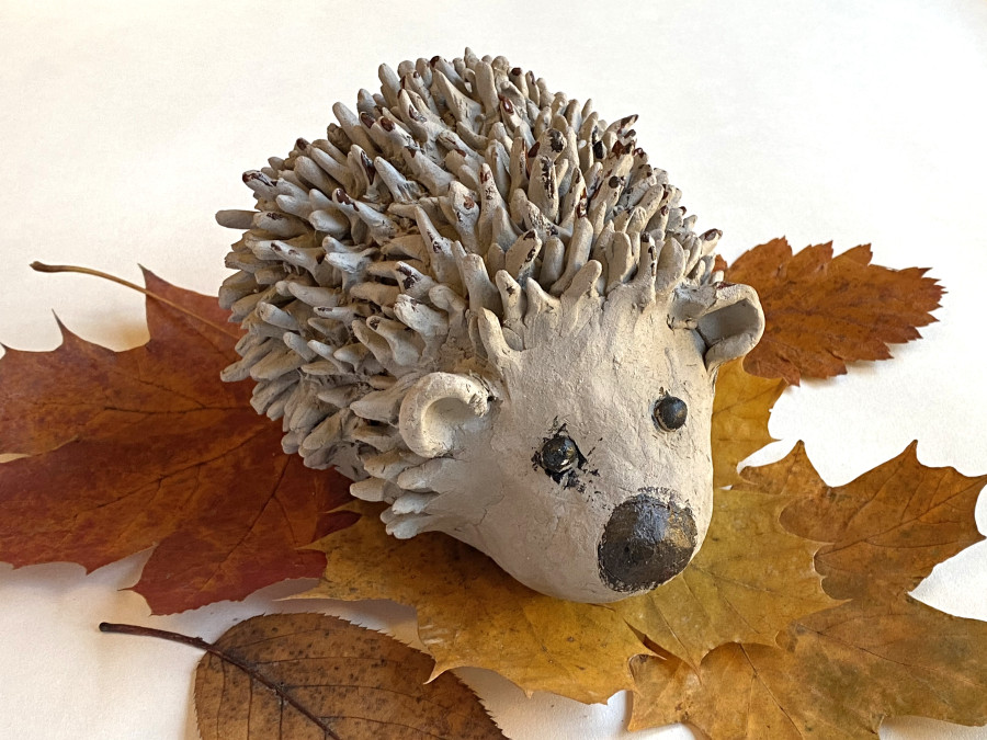 'We are all Hedgehogs' by Matilda (10) from Dublin