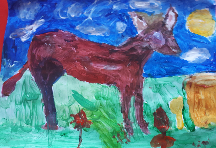 'Daisy the donkey' by Matthew (5) from Galway