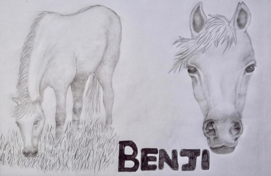 'Benji' by Maura (13) from Dublin