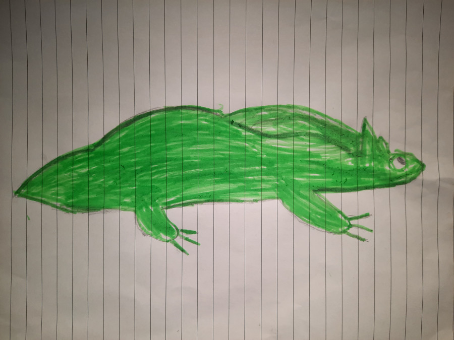 'Lockdown Lizzy' by Max (6) from Wexford