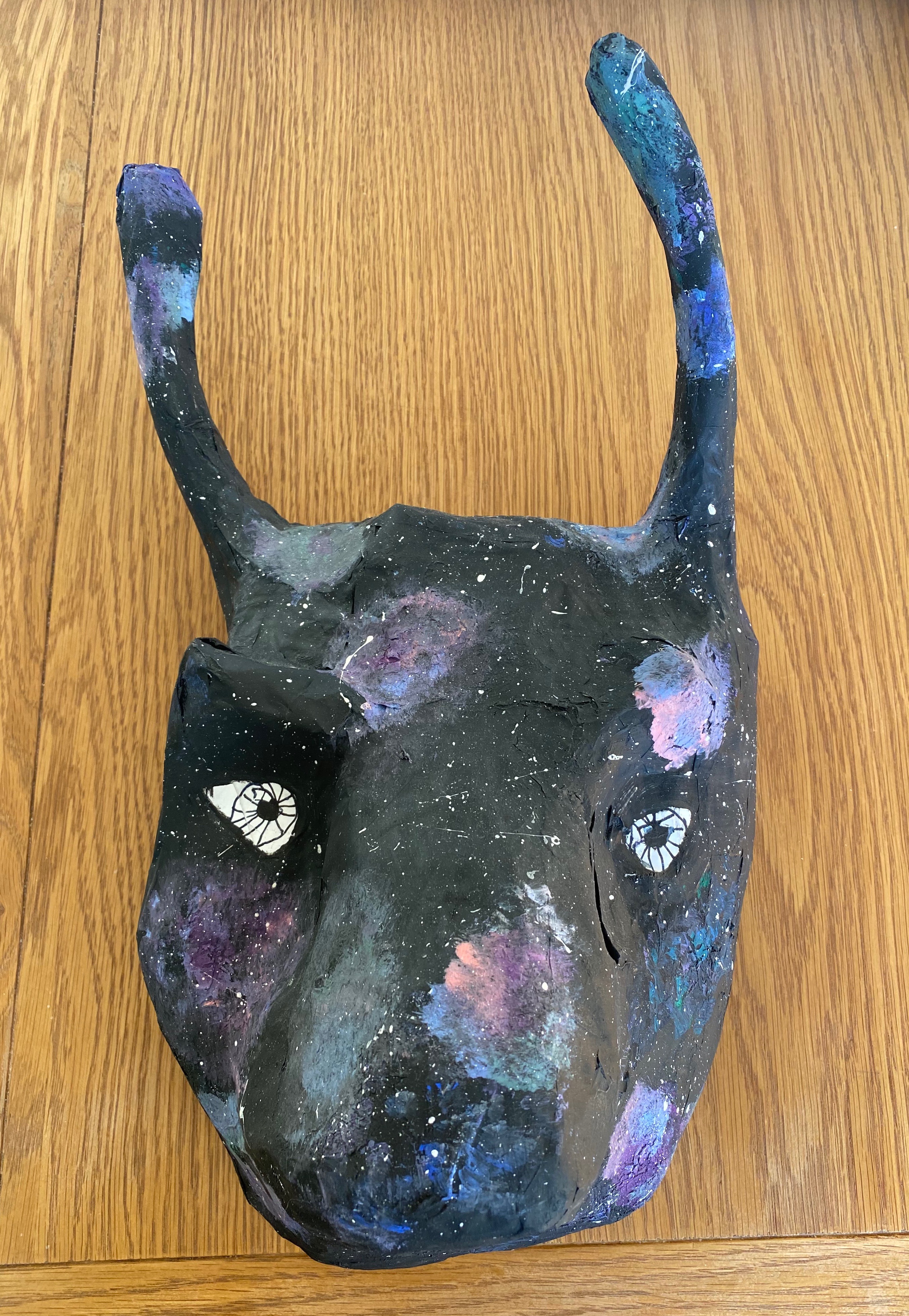 'The Bull in the Stars' by Maya (12) from Leitrim