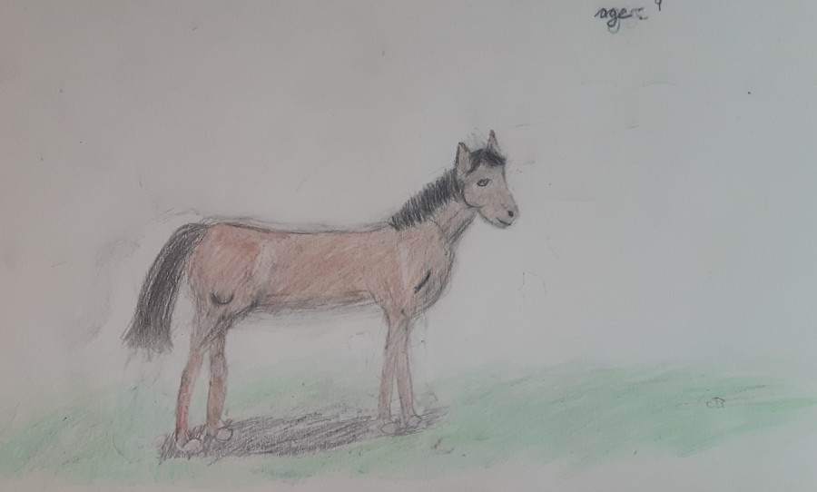 'A Horse's Life' by Maya (9) from Kildare