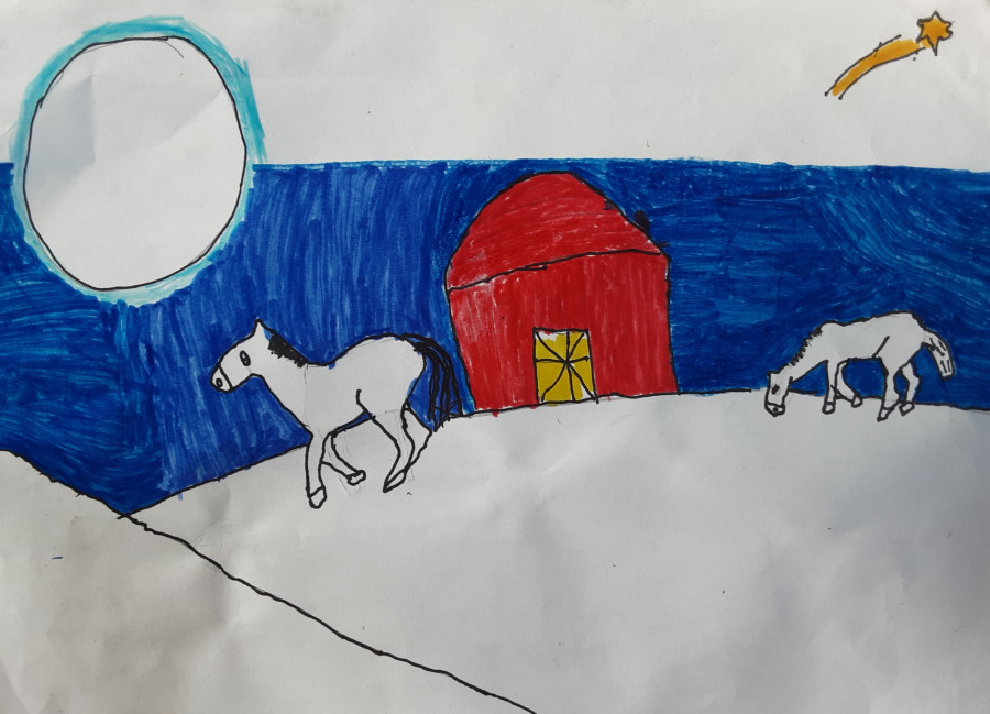 'Snowy night 2021' by Michael (9) from Cork