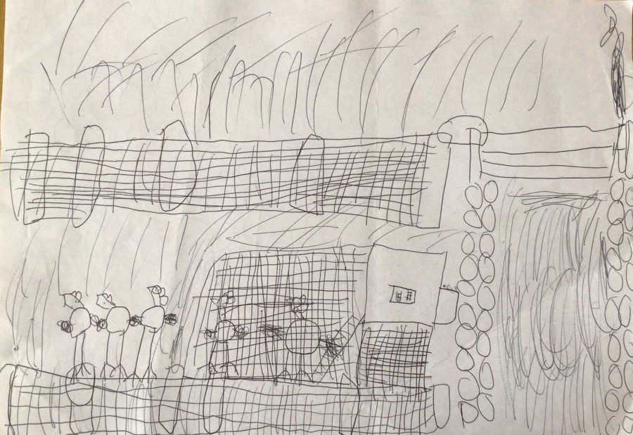 'Our Hens' by Milo (7) from Cavan