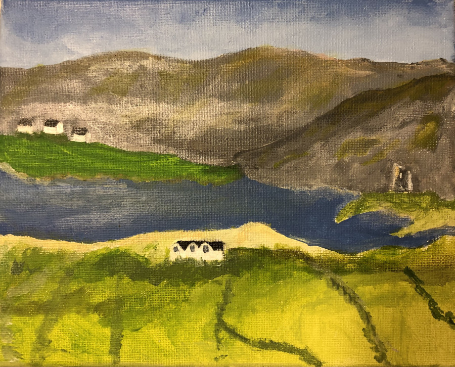 'At Home in the Burren' by Noah (11) from Clare