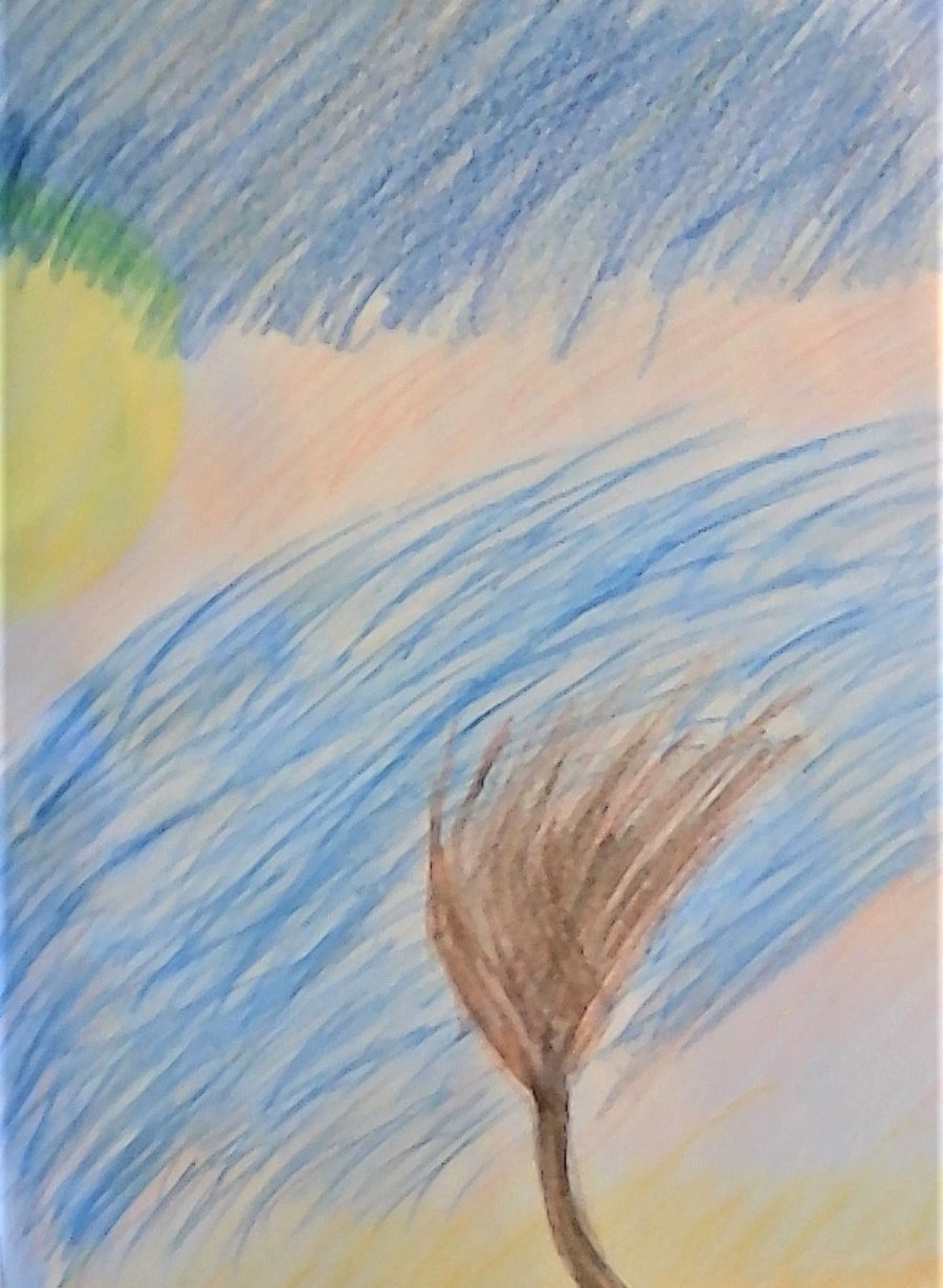 'The breeze in the bush' by Odhran (10) from Galway