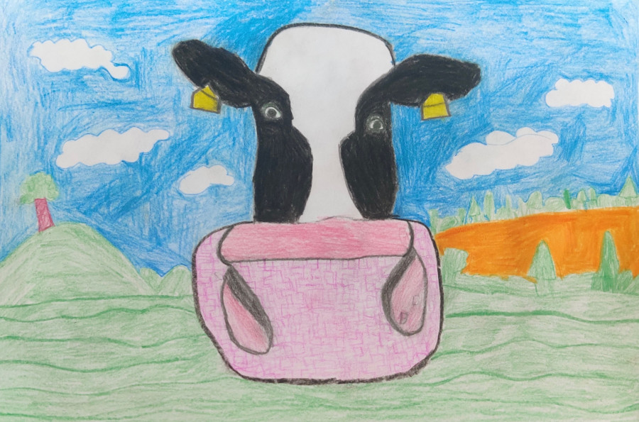 'Paul the cow' by Orla (11) from Cork