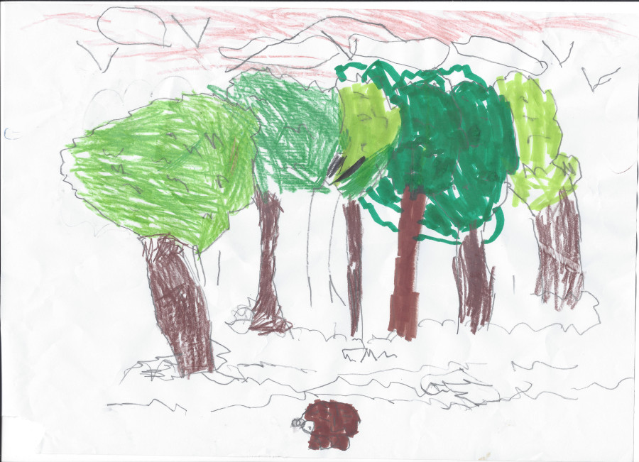 'Hedgehog and the Trees' by Patrick (5) from Dublin