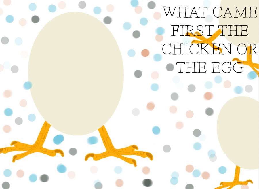 'What came first the chicken or the egg' by Rebecca (13) from Dublin