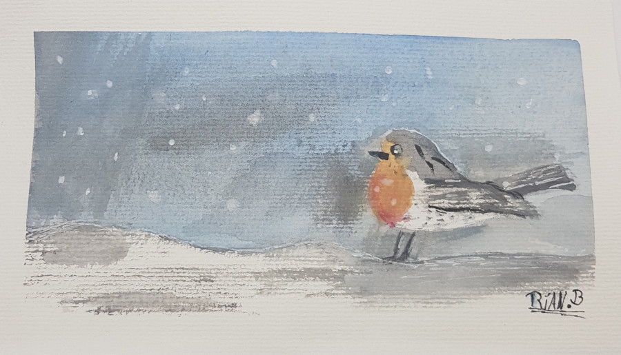 'Winter Robin' by Rían (12) from Galway